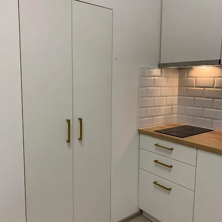 Ultra-central Cozy Studio, Quiet Pedestrian Lane Apartament Cluj-Napoca
