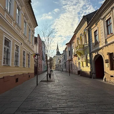 Ultra-central Cozy Studio, Quiet Pedestrian Lane Cluj-Napoca